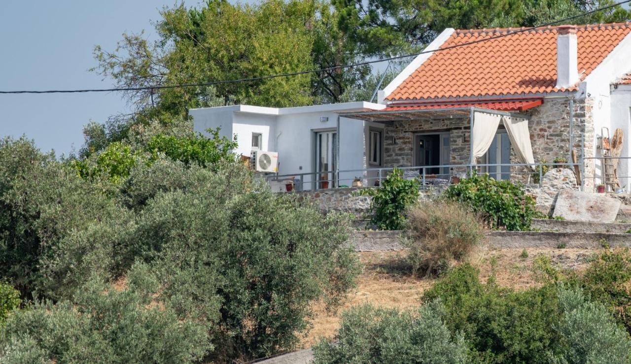 Oneiro Cottage Skopelos Eksteriør billede
