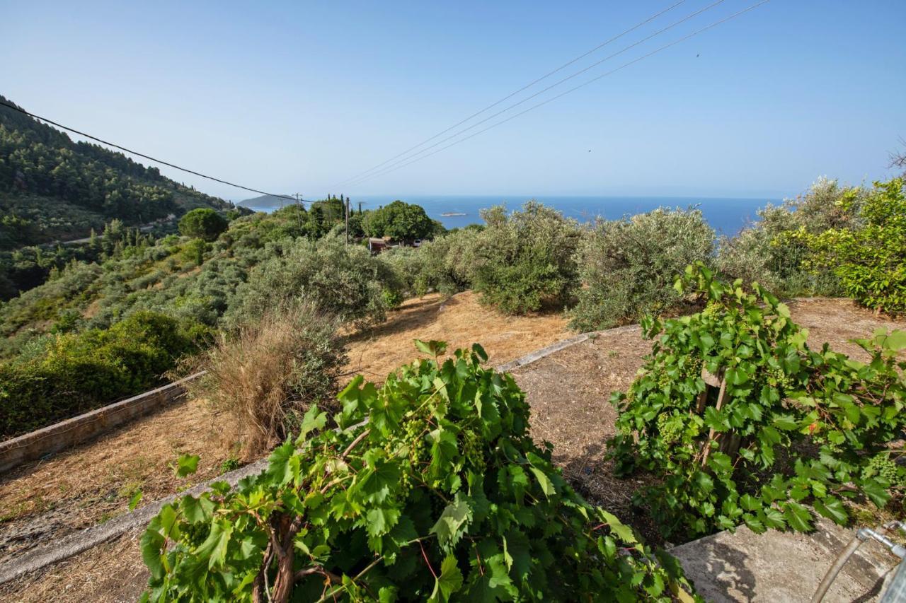 Oneiro Cottage Skopelos Eksteriør billede